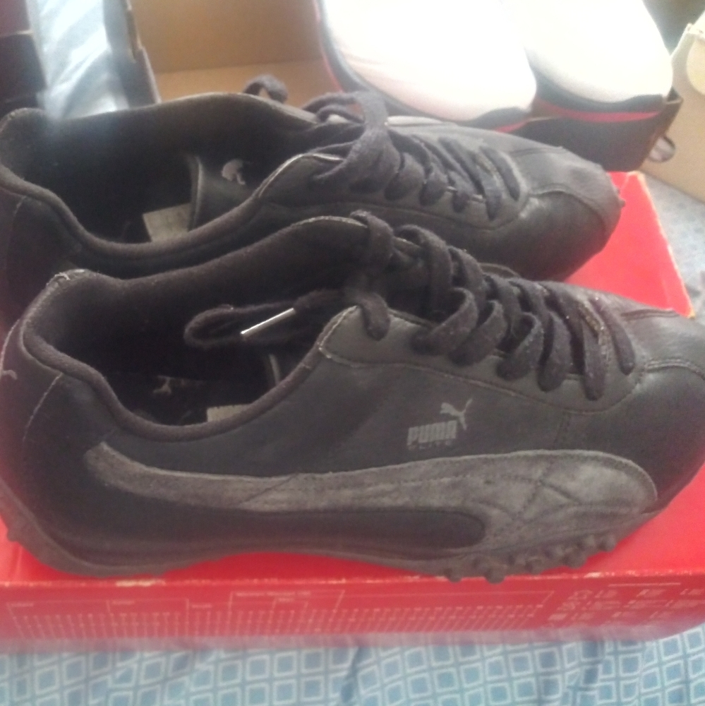 Puma